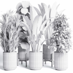 indoor plant set 300 plant ravenala ficus rubbery monstera