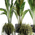 Indoor Plant set 35