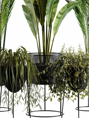 indoor-plant-set-35-3d-model-8cc5d7880b