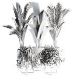 Indoor Plant set 35