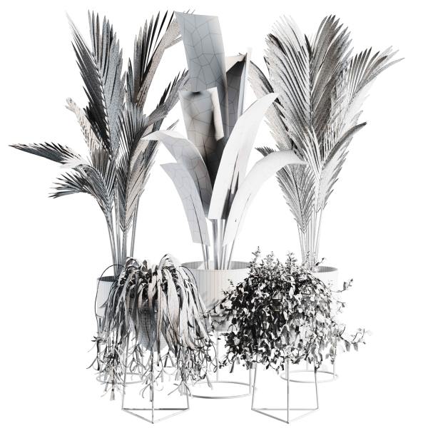 Indoor Plant set 35