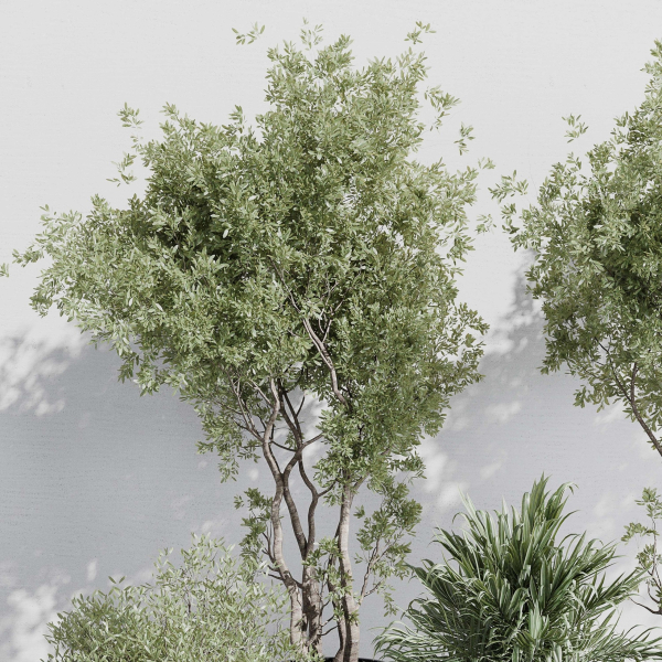 indoor plant set 387 plant tree palm bush concrete dirt vase