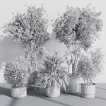indoor plant set 387 plant tree palm bush concrete dirt vase