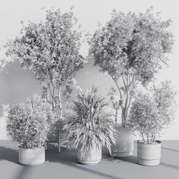 indoor plant set 387 plant tree palm bush concrete dirt vase