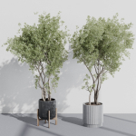 indoor plant set 387 plant tree palm bush concrete dirt vase