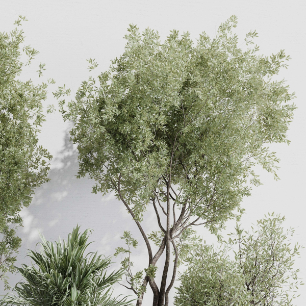 indoor plant set 387 plant tree palm bush concrete dirt vase