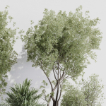 indoor plant set 387 plant tree palm bush concrete dirt vase