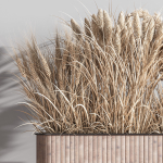 Indoor Plant Set 76 Dry flowers