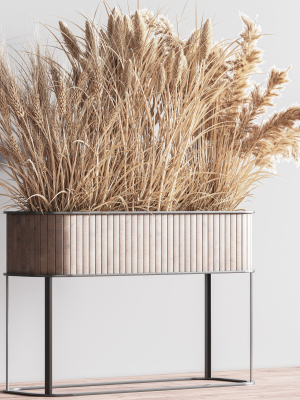 indoor-plant-set-76-dry-flowers-3d-model-daa01746e6