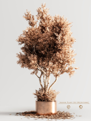 indoor-plant-set-86-autumn-3d-model-010695d762