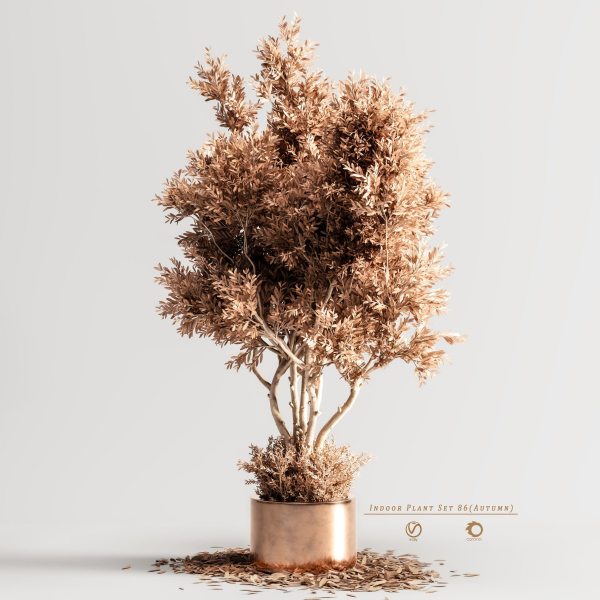 Indoor Plant Set 86 Autumn