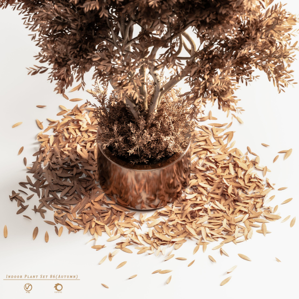 Indoor Plant Set 86 Autumn