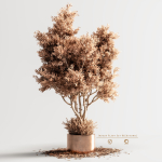 Indoor Plant Set 86 Autumn
