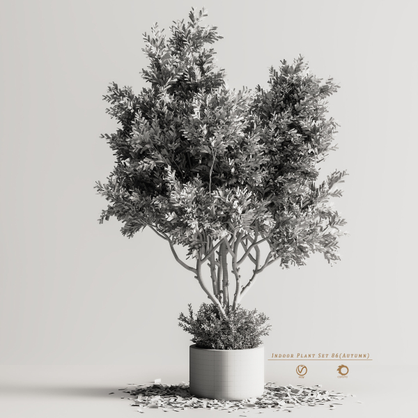 Indoor Plant Set 86 Autumn