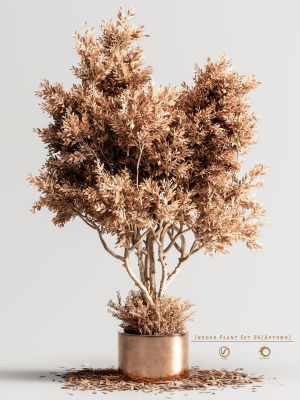 Indoor Plant Set 86 Autumn