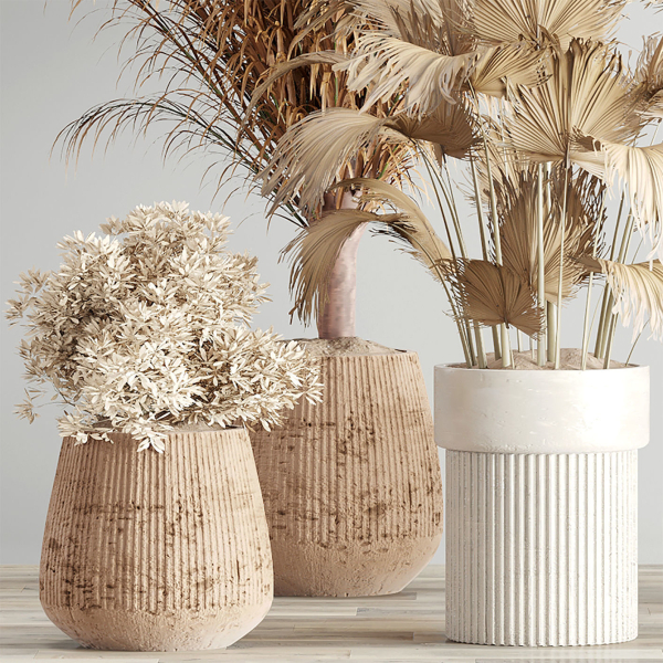 Indoor-Plant-Set3-Dry-Plants four vases with plants