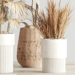 Indoor-Plant-Set3-Dry-Plants four vases with plants