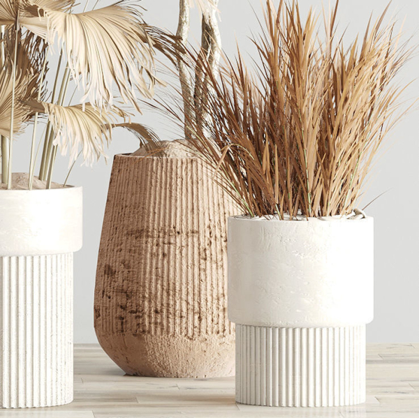 Indoor-Plant-Set3-Dry-Plants four vases with plants