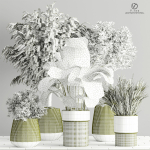 Indoor-Plant-Set3-Dry-Plants four vases with plants