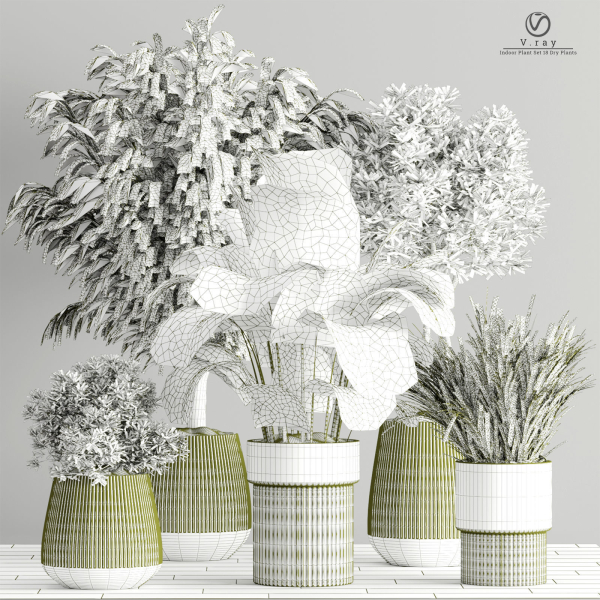 Indoor-Plant-Set3-Dry-Plants four vases with plants