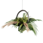 Indoor plant set42-hanging plant