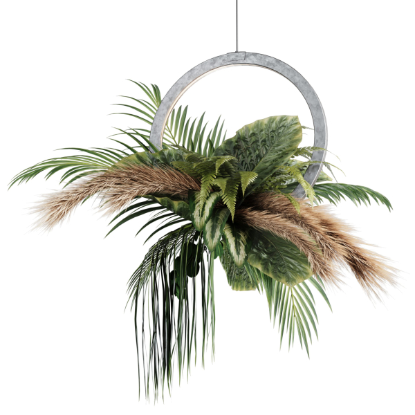 Indoor plant set42-hanging plant