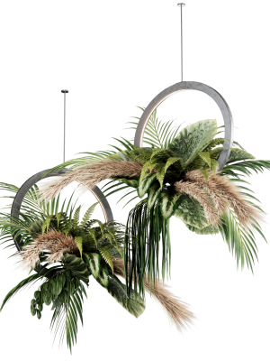 Indoor plant set42-hanging plant