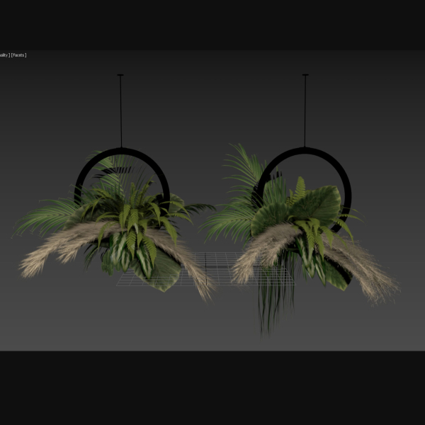 Indoor plant set42-hanging plant