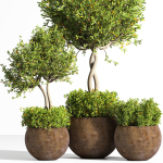 indoor plant stand 08