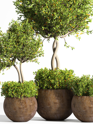 indoor-plant-stand-08-3d-model-max-obj-fbx-mat