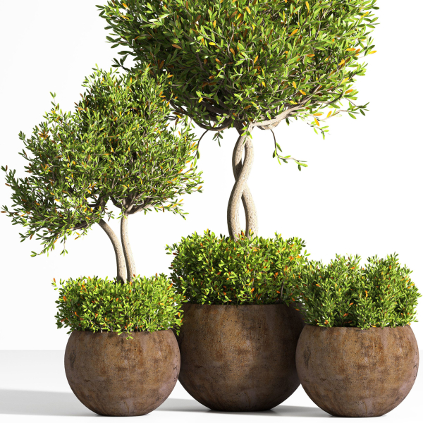 indoor plant stand 08