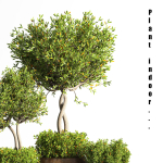 indoor plant stand 08