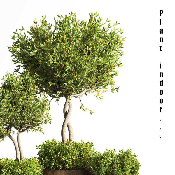 indoor plant stand 08