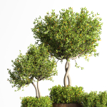 indoor plant stand 08