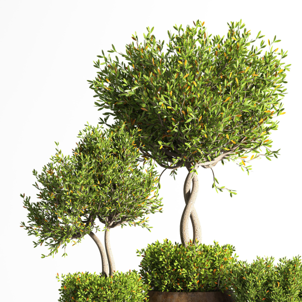 indoor plant stand 08
