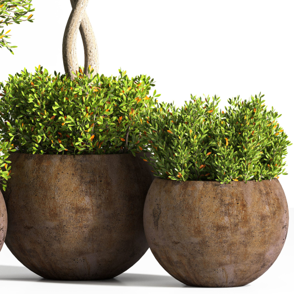 indoor plant stand 08