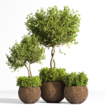 indoor plant stand 08