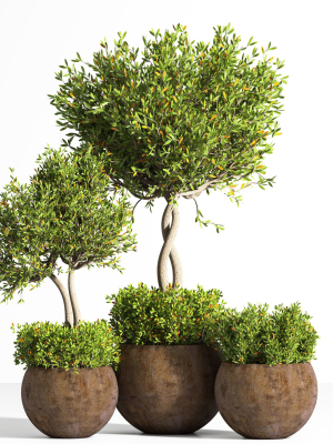 indoor plant stand 08