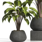 indoor plant stand 13