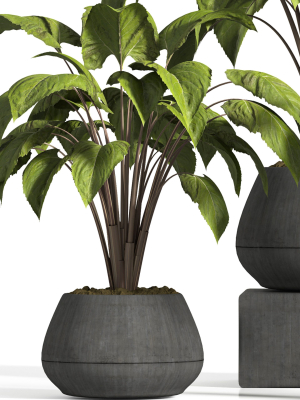 indoor-plant-stand-13-3d-model-max-obj-fbx-mat