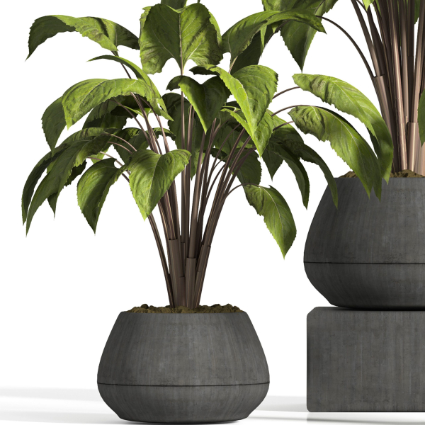 indoor plant stand 13