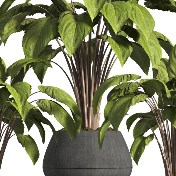 indoor plant stand 13