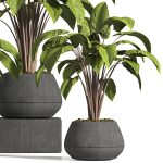 indoor plant stand 13