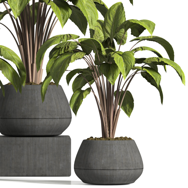 indoor plant stand 13