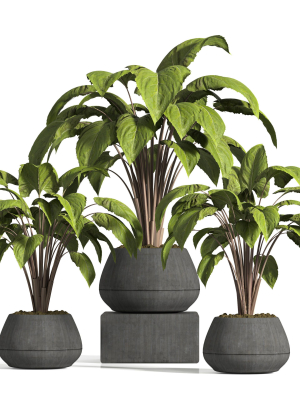 indoor plant stand 13