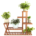 Indoor Plants 3