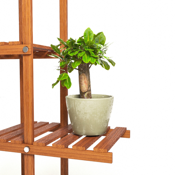 Indoor Plants 3
