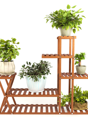 Indoor Plants 3