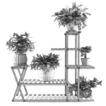 Indoor Plants 3