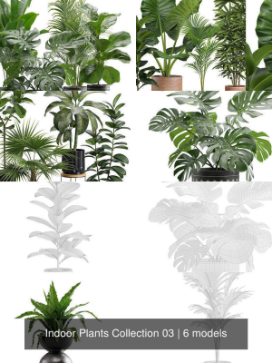 indoor-plants-collection-03-3d-model-2e37577293